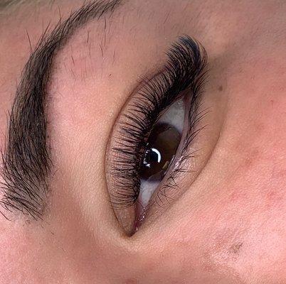 Volume Lashes