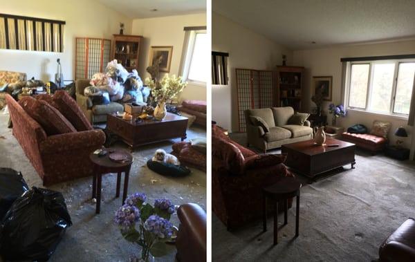 Before & after Living room/Hoarder