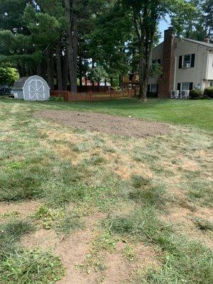 Lawn restoration after 80" stump was removed