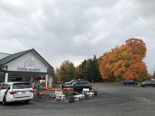 Colorful storefront view in fall.