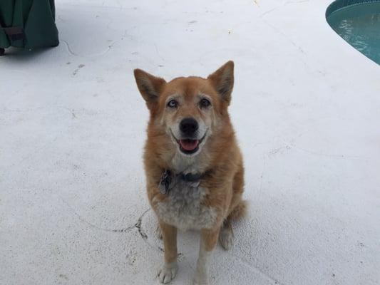 Excited girl!