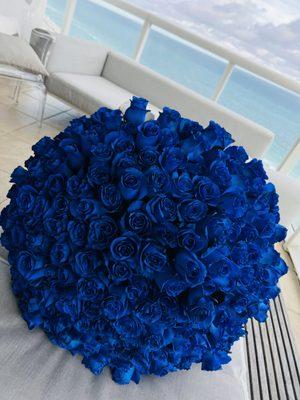 Blue Roses