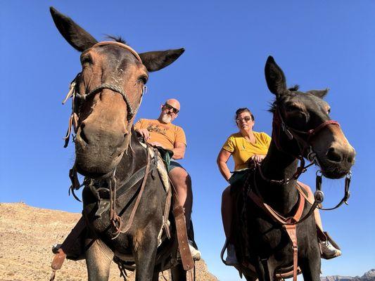 Cowboy Trail Rides