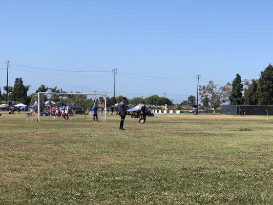 Okay soccer fields.