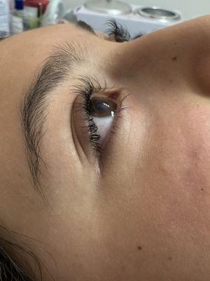 Lash Lifting