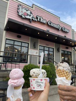 Strawberry Fields Forever Ice Cream, Minty Chocolate Chippy Ice Cream & Coffee Cookie Crunch Ice Cream (VEGAN ) & Cookies & Cream Ice Cream