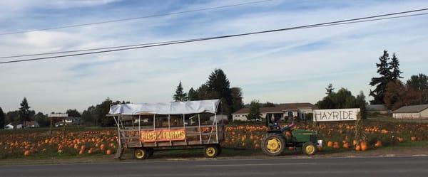 Their hayrides are across the street