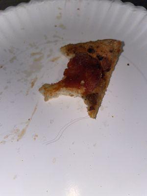 Hair cooked INTO the pizza, couldn't even pull it out. So disgusted.