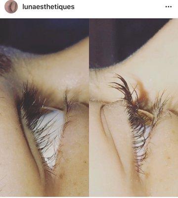 Lash Lift by Jackie @Lunaesthetiques