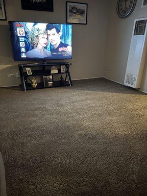 Spotless carpet after Rey cleaned it