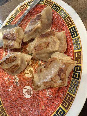 fried or steamed dumplings