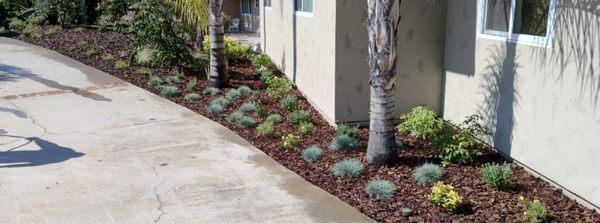 Side of home landscaping