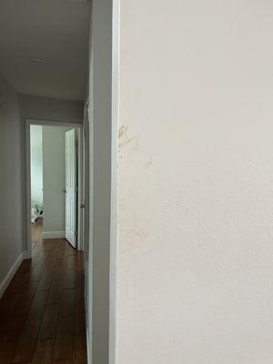 More poop stains on wall