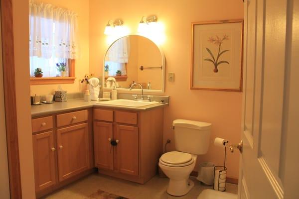 Spacious bathroom