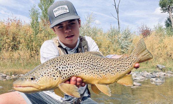 Massive brown on crystal clear winter