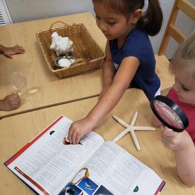 Montessori Science Activities