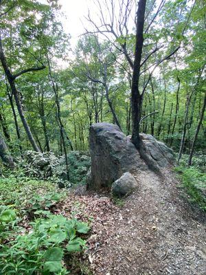 A rock and view down the hill by the Look Rock Tower