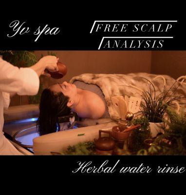 Free scalp analysis