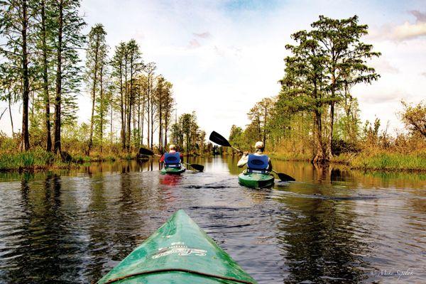 Getting out in the Okefenokee Swamp in a canoe or kayak is one of the best ways to see it for yourself!