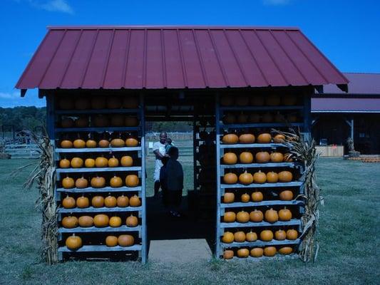 Pumpkin Patch Farm