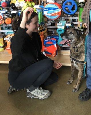 Lira of ATB Columbia City, making friends with our  "Libby" as part of helping Libby's humans make good pet care choices!