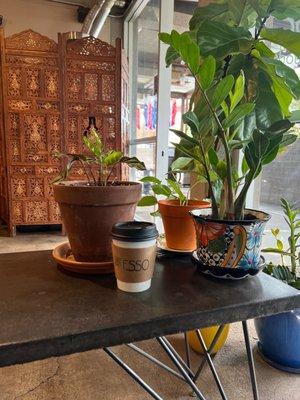 Drip coffee and beautiful plants.