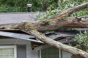 Emergency roof repairs are often unexpected and major needs