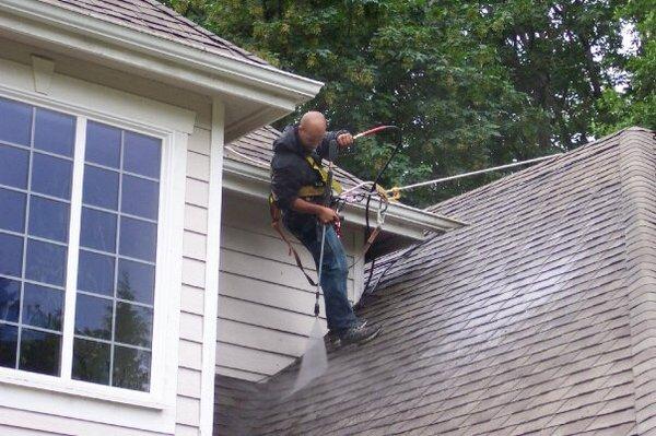 Roof cleaning