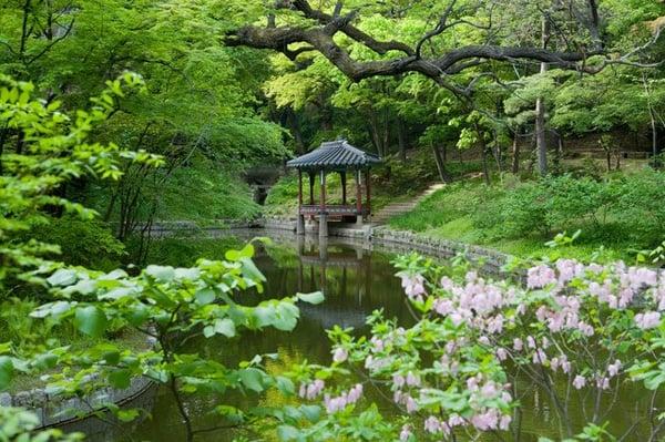 Changdeokgung Palace, The Secret Garden, Seoul, South Korea