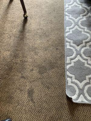 Nasty carpet