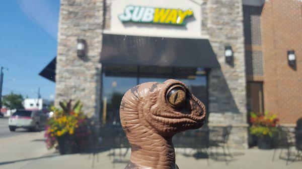 Bob the Raptor Says "These mammals make really tasty sub prey."