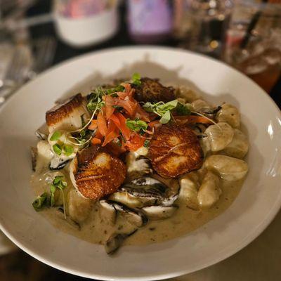 Scallops with gnocchi in a mushroom sauce - scallops were cooked perfectly but the gnocchi was bland