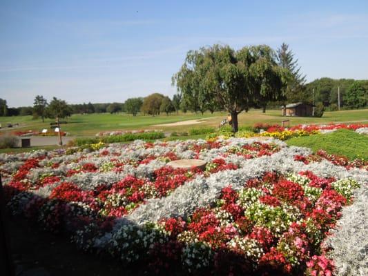 gorgeous landscaping