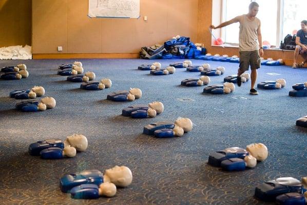 Super CPR 2011