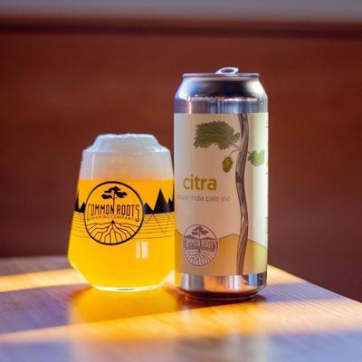 Citra Session IPA