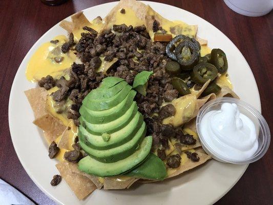 Nachos with carne asada