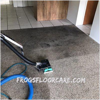 This is a photo during our restorative carpet cleaning process. The specific property is a rental apartment.