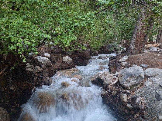 Beautiful creek and waterfalls