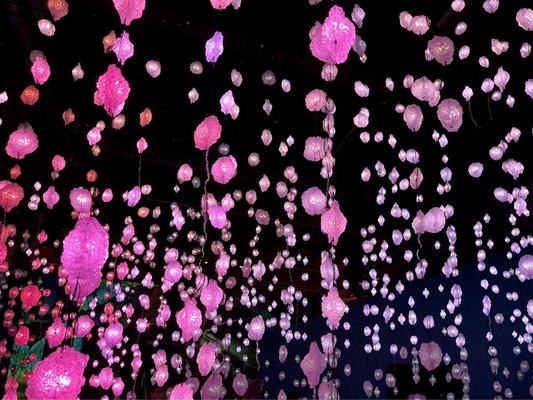 Pipilotti Rist: Big Heartedness, Be My Neighbor (9/12/21-6/6/22)