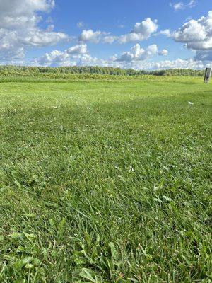 Open field directly outside of the building