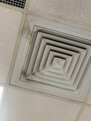 Mold can be smelled from the booth below vents.