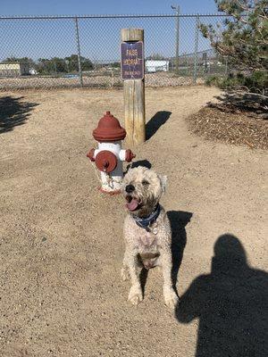 Louie Jasper in front of the fake hydrant thought that was a cool touch.