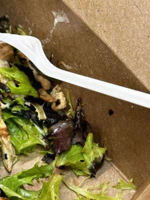 A bug in my salad