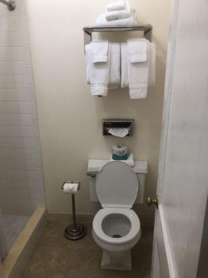 Small but functional bathroom.