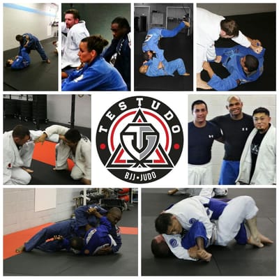 Testudo BJJ welcomes BJJ practitioners of all levels.