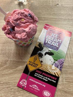 Bubblegum ice cream (small)