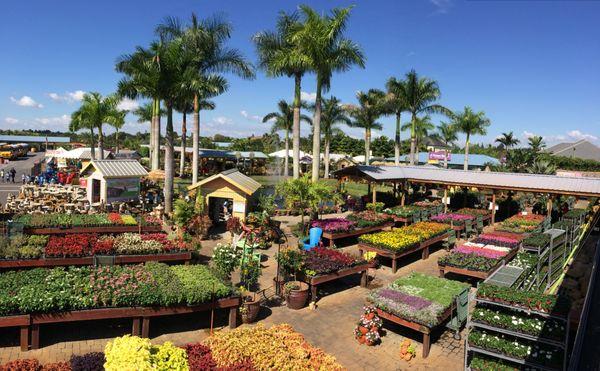 Flamingo Road Nursery