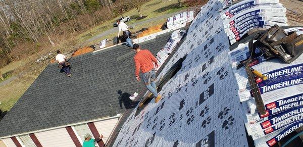 Shingle roof replacement