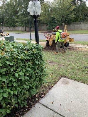 Bryan Connor and his guys did an awesome job taking down our tree. Thoughtful, courteous and knowledgeable.