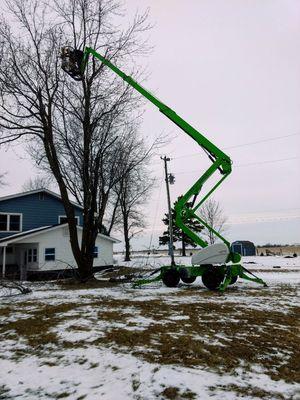 Oasis Tree Service